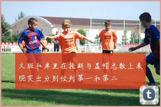 文班和库里在抢断与盖帽总数上表现突出分别位列第一和第二