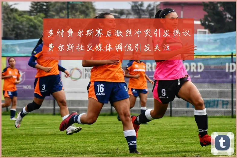 多特费尔斯赛后激烈冲突引发热议费尔斯社交媒体调侃引发关注