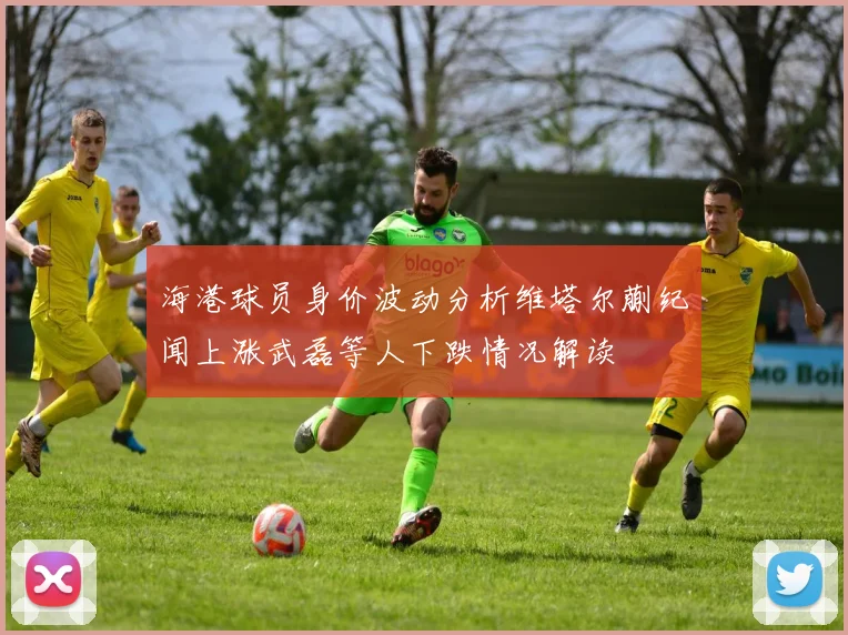海港球员身价波动分析维塔尔蒯纪闻上涨武磊等人下跌情况解读