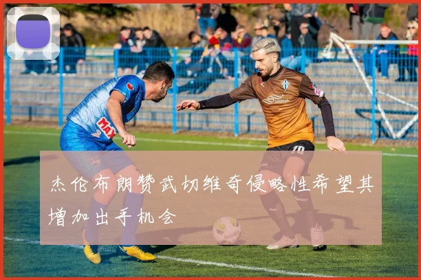 杰伦布朗赞武切维奇侵略性希望其增加出手机会