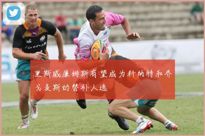 里斯威廉姆斯有望成为科纳特和乔戈麦斯的替补人选