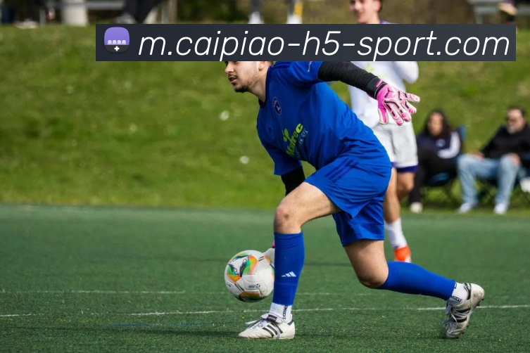 大发彩票平台生态图