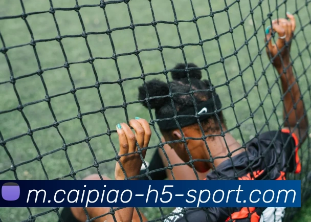 大发彩票APP 封面图